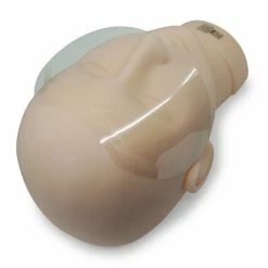 Brow Box Shower Shields ACCESSORIES