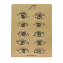 Brow Box Blank Skin With Eyeliner Design TRAINING SUPPLIES