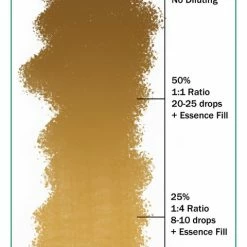 Ever After Pigments Hidden Grove