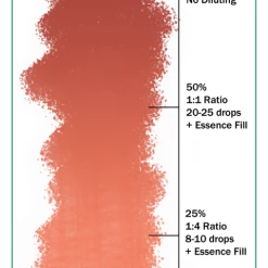 Ever After Pigments Passion