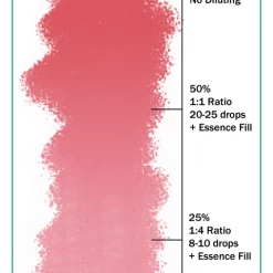 Ever After Pigments Princess Pink