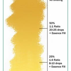 Ever After Pigments Belle's Gown