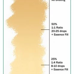 Ever After Pigments Hourglass