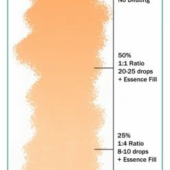 Ever After Pigments Sweet Dream